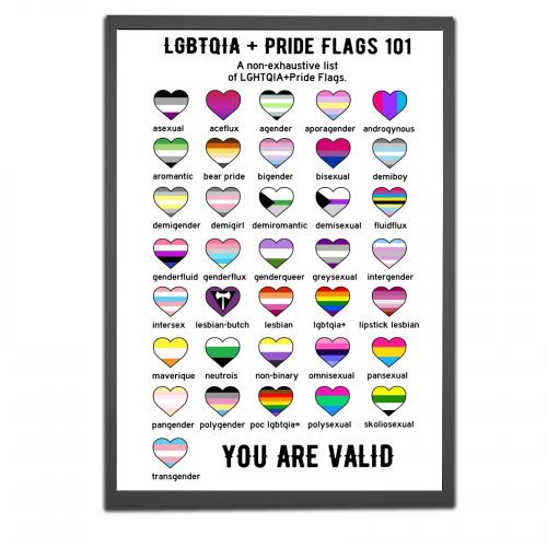 LGBTQIA Pride Flags LGBT Poster Pride Month Gift Wall Art Home Office Decoration