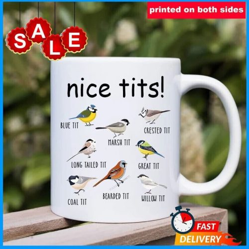 Nice Tits Mug Funny Bird, Gift For Bird Lovers, Funny Gift On Birthday  11oz