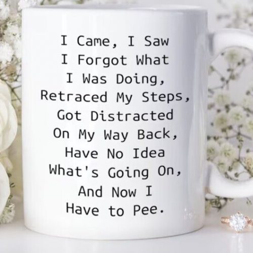 Senior Citizen Coffee Mugs, I Came I Saw I Forgot What I Was Doing