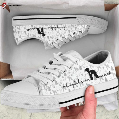 Owl Low Top Shoes Gift for Men WomenSneaker