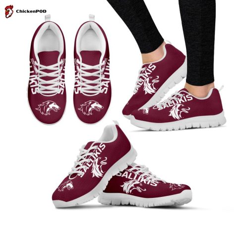 Southern Illinois Salukis Unisex Running Shoes For Fans Gifts