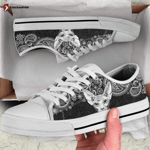 Squirrel Low Top Shoes Gift for Men Women