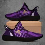 Albany Great Danes NCAA Yeezy Sneaker For Men Women Fans