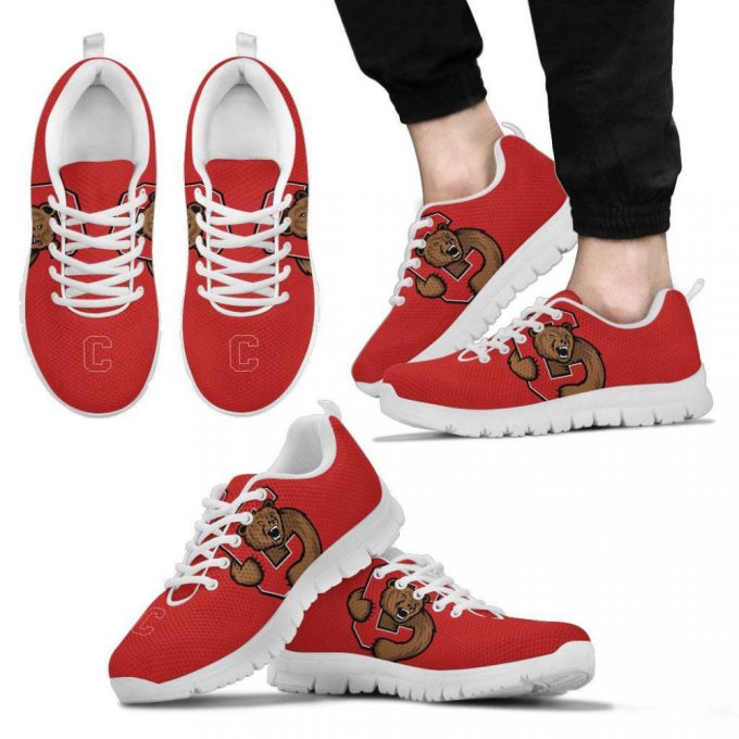 Cornell Big Red Unisex Running Shoes For Fans Gifts