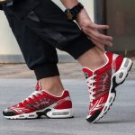 Detroit Red Wings NHL Air Max Plus Sport Sneakers For Fan Gifts