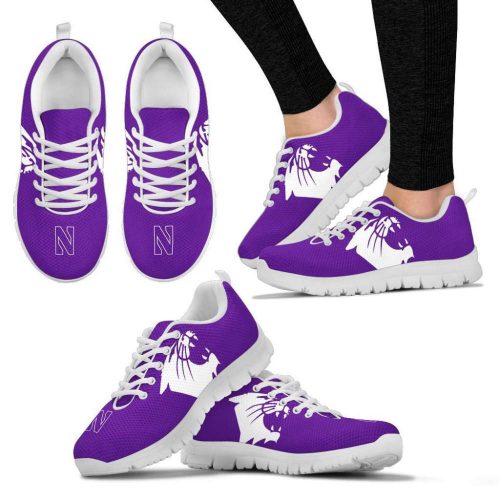 Northwestern Wildcats Unisex Running Shoes For Fans Gifts